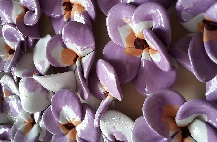 Residenza Cuordiverona Pensionat 3*